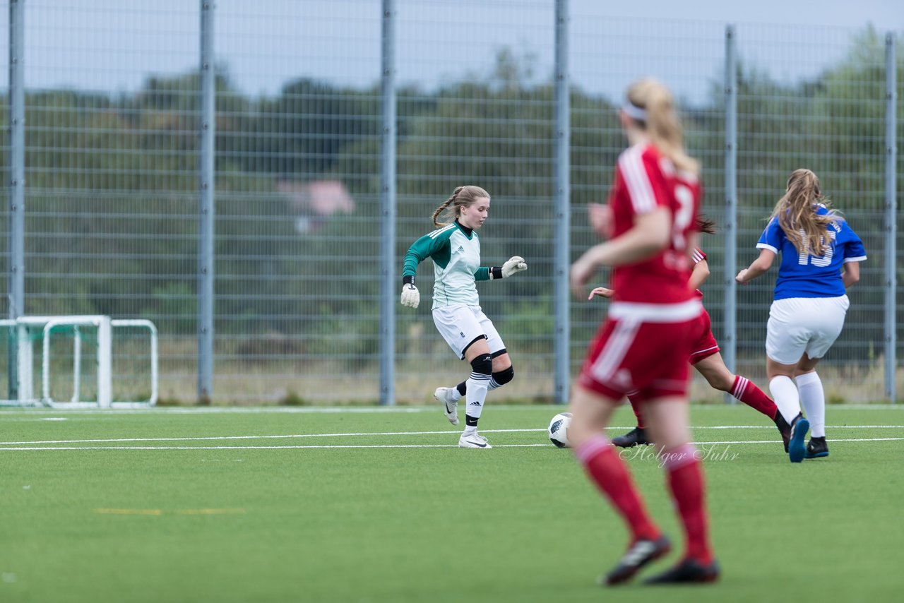 Bild 192 - F FSG Kaltenkirchen - SV Wahlstedt : Ergebnis: 6:1